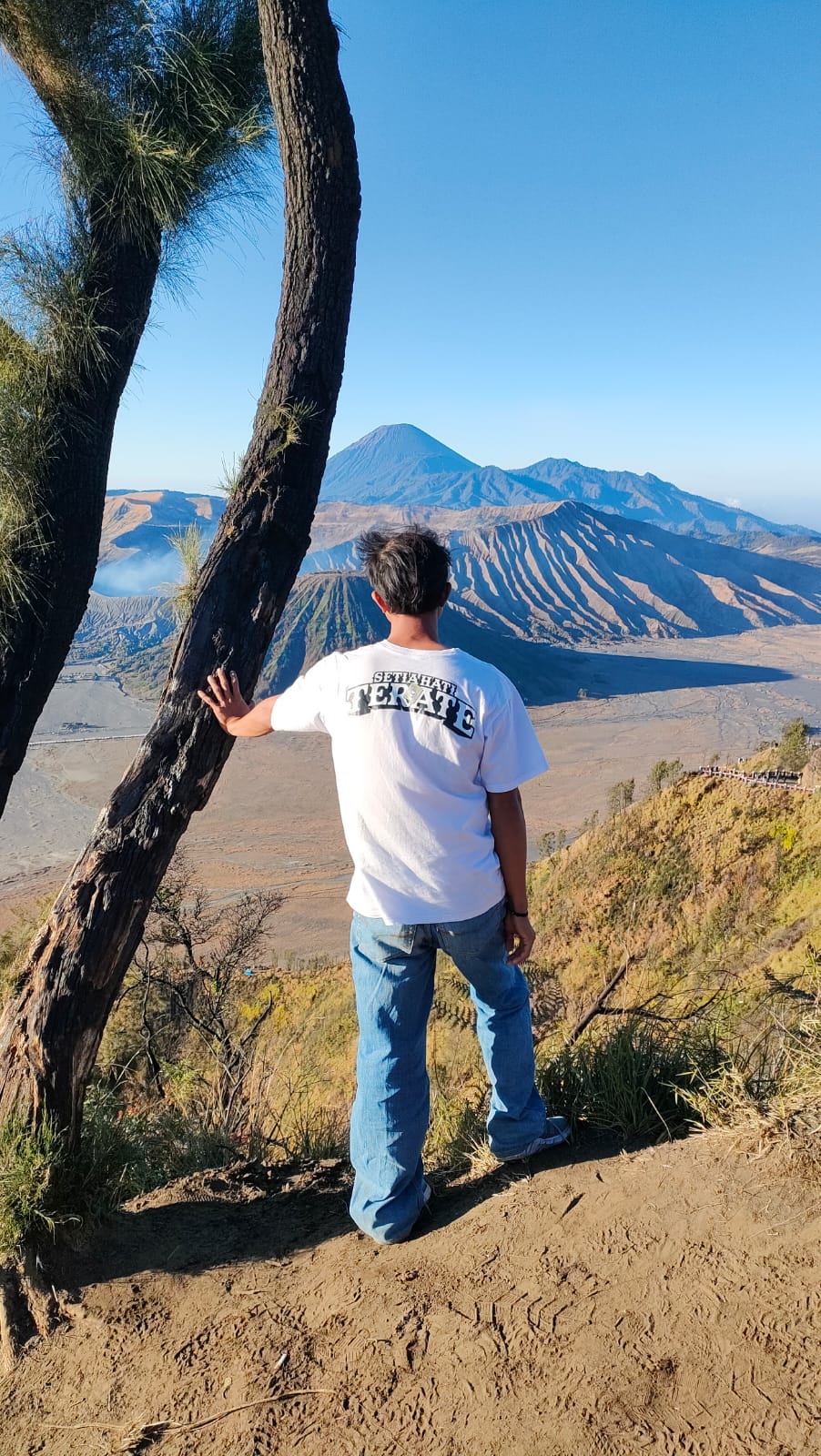 bromo